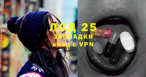 спайс Аркадак