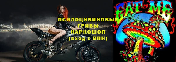 соль ск Арсеньев