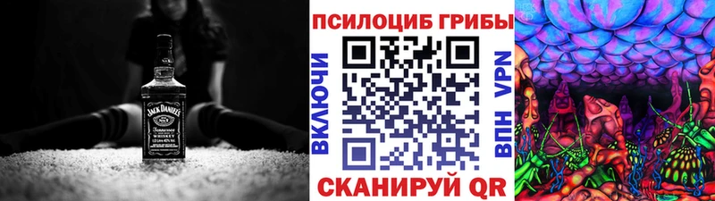 Галлюциногенные грибы Psilocybe ссылка на мегу ТОР Иннополис